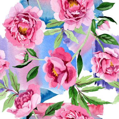 Pembe peony çiçek botanik çiçekler. Suluboya arka plan illüstrasyon küme. Sorunsuz arka plan deseni.