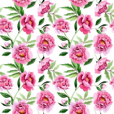 Pembe peony çiçek botanik çiçekler. Suluboya arka plan illüstrasyon küme. Sorunsuz arka plan deseni.