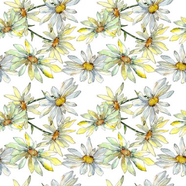 Beyaz papatya çiçek botanik çiçekler. Suluboya arka plan illüstrasyon seti. Kesintisiz arka plan deseni.