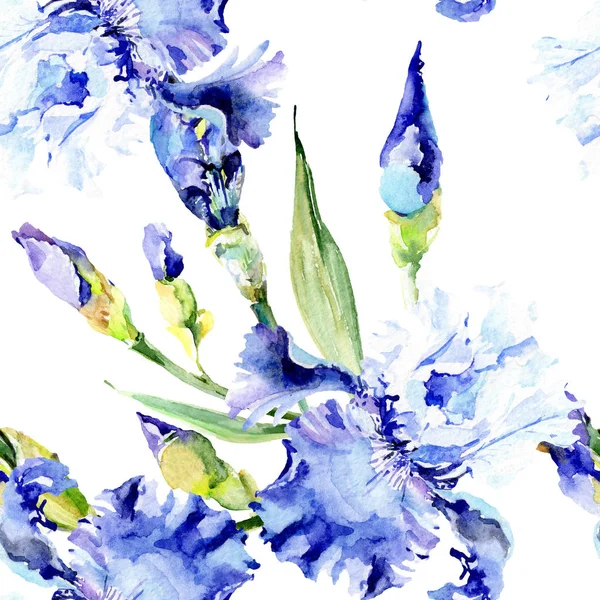 Fiori botanici floreali di iris viola. Acquerello sfondo illustrazione set. Modello di sfondo senza soluzione di continuità . — Foto Stock