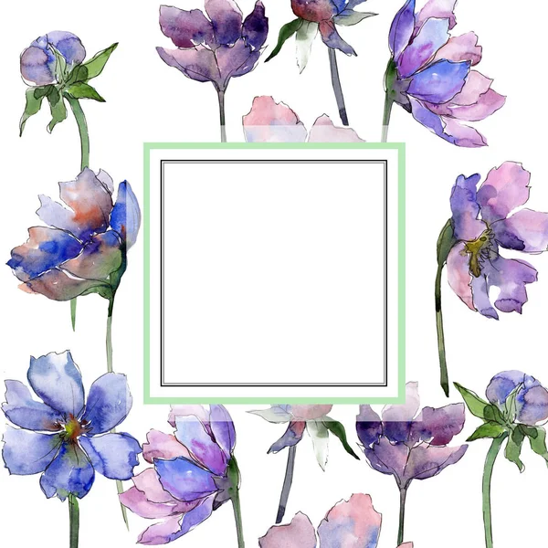 Фіолетовий космос квіткові ботанічні квіти. Набір ілюстрацій для акварельного фону. Каркасна площа прикордонного орнаменту . — стокове фото