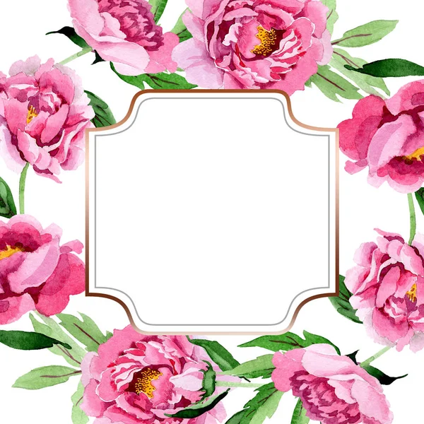 Rosa peônia flores botânicas florais. Conjunto de ilustração de fundo aquarela. Quadro borda ornamento quadrado . — Fotografia de Stock