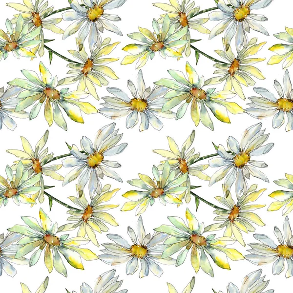 Vit Daisy blommiga botaniska blommor. Akvarell bakgrund illustration uppsättning. Sömlöst bakgrundsmönster. — Stockfoto