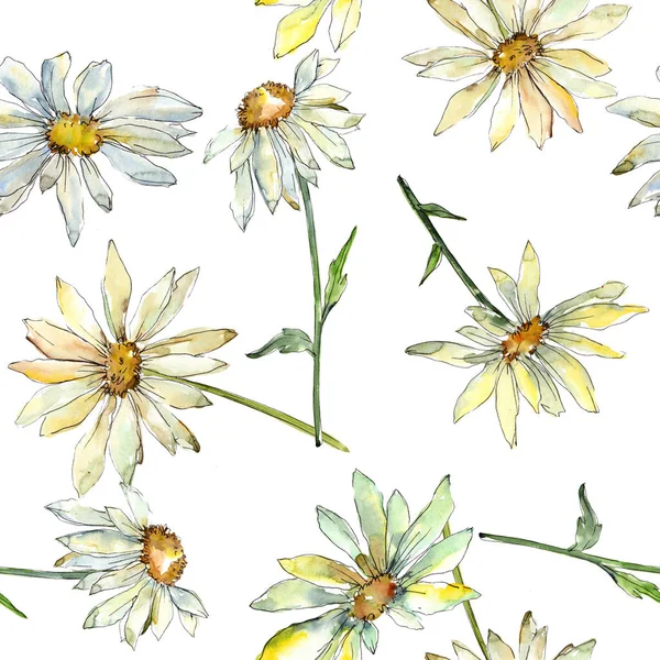 Bílé květinové botanické květiny. Vodný obrázek pozadí-barevný. Bezespání vzorek pozadí. — Stock fotografie