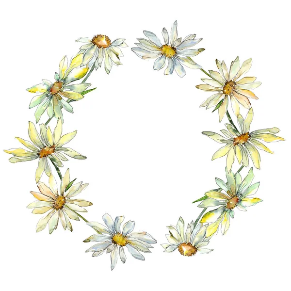 Weißes Gänseblümchen, botanische Blüten. Aquarell Hintergrundillustration Set. Rahmen Rand Ornament Quadrat. — Stockfoto