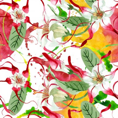 Kırmızı beyaz strophantus çiçek çiçekleri. Suluboya arka plan illüstrasyon seti. Kesintisiz arka plan deseni.