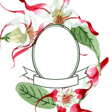 Kırmızı beyaz strophantus botanik çiçekleri. Yabani bahar yaprağı kır çiçeği. Suluboya çizim moda aquarelle izole.