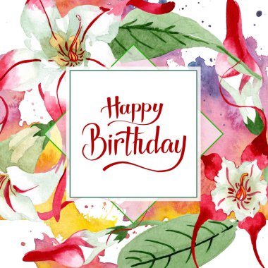 Kırmızı beyaz strophantus botanik çiçekleri. Yabani bahar yaprağı kır çiçeği. Suluboya çizim moda aquarelle izole.