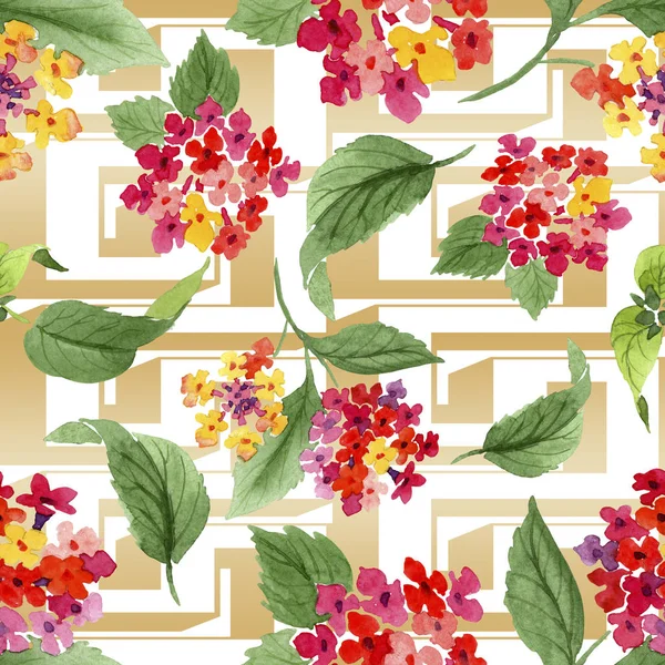Röd Lantana blommiga botaniska blommor. Akvarell bakgrund illustration uppsättning. Sömlöst bakgrundsmönster. — Stockfoto