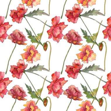 Kırmızı haşhaş çiçek botanik çiçekleri. Suluboya arka plan illüstrasyon seti. Kesintisiz arka plan deseni.