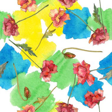 Kırmızı haşhaş çiçek botanik çiçekleri. Suluboya arka plan illüstrasyon seti. Kesintisiz arka plan deseni.