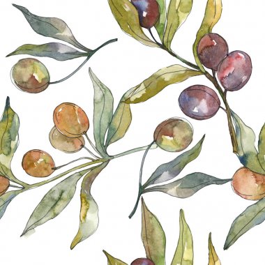 Siyah ve yeşil meyveli zeytin dalı. Suluboya arka plan illüstrasyon seti. Kesintisiz arka plan deseni.