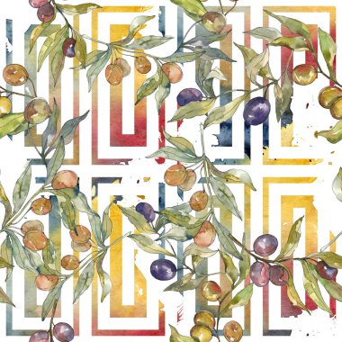 Siyah ve yeşil meyveli zeytin dalı. Suluboya arka plan illüstrasyon seti. Kesintisiz arka plan deseni.