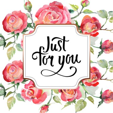 Kırmızı gül buketi çiçek botanik çiçekler. Suluboya arka plan illüstrasyon küme. Çerçeve kenarlığı süsleme Meydanı.