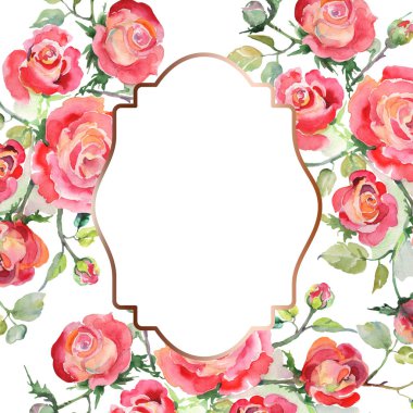 Kırmızı gül buketi çiçek botanik çiçekler. Suluboya arka plan illüstrasyon küme. Çerçeve kenarlığı süsleme Meydanı.