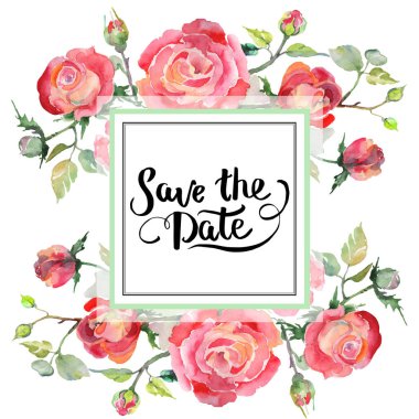 Kırmızı gül buketi çiçek botanik çiçekler. Suluboya arka plan illüstrasyon küme. Çerçeve kenarlığı süsleme Meydanı.