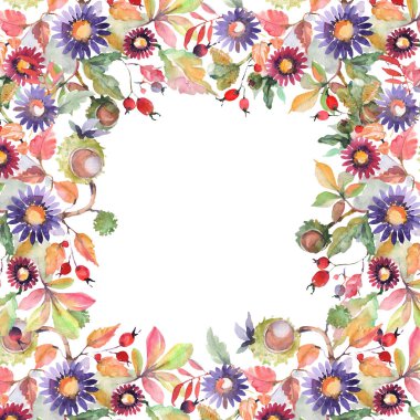 Aster ve kır çiçeği buketi botanik çiçekler. Suluboya arka plan illüstrasyon seti. Çerçeve kenarlık süs karesi.