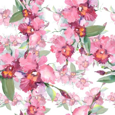 Pembe orkide buketi botanik çiçekler. Yabani bahar yaprağı kır çiçeği. Suluboya illüstrasyon seti. Suluboya çizim moda aquarelle. Kusursuz arka plan deseni. Kumaş duvar kağıdı baskı doku.