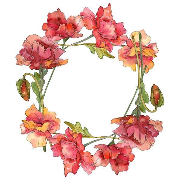 Röd vallmo blommiga botaniska blommor. Akvarell bakgrund illustration uppsättning. Ram kant prydnad kvadrat. — Stockfoto