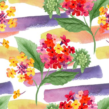Kırmızı lantana çiçek botanik çiçekleri. Suluboya arka plan illüstrasyon seti. Kesintisiz arka plan deseni.