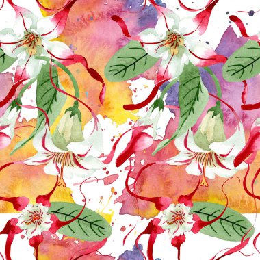 Kırmızı beyaz strophantus çiçek çiçekleri. Suluboya arka plan illüstrasyon seti. Kesintisiz arka plan deseni.