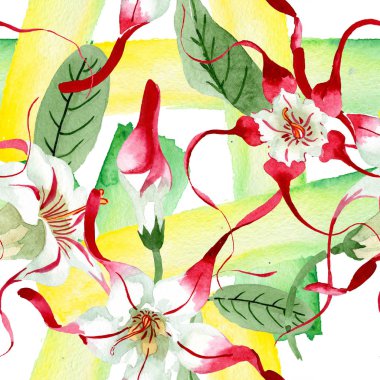 Kırmızı beyaz strophantus çiçek çiçekleri. Suluboya arka plan illüstrasyon seti. Kesintisiz arka plan deseni.