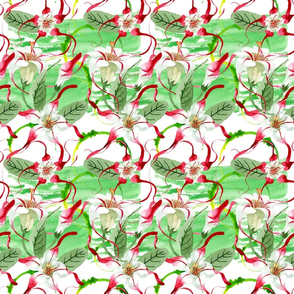 Röd vit Strophantusarter Blom blommor. Akvarell bakgrund illustration uppsättning. Sömlöst bakgrundsmönster. — Stockfoto