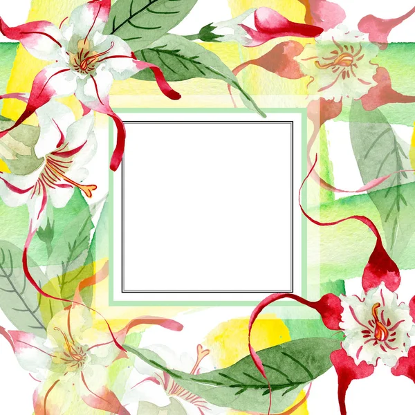 Κόκκινα λευκά strophantus βοτανικά λουλούδια. Άγριο λουλούδι φύλλων ελατηρίου. Υδατογραφία σχεδίαση μόδας απομονωμένη. — Φωτογραφία Αρχείου