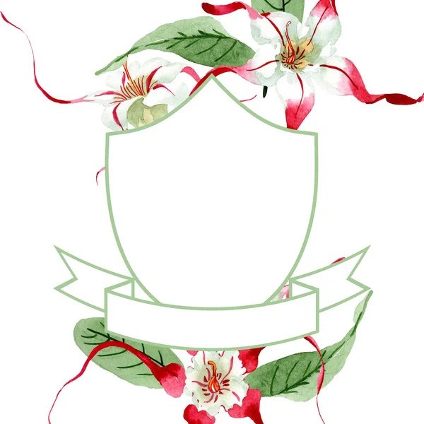 Vermelho branco strophantus flores botânicas. Folha selvagem da primavera wildflower. Desenho aquarelle moda aquarelle isolado . — Fotografia de Stock