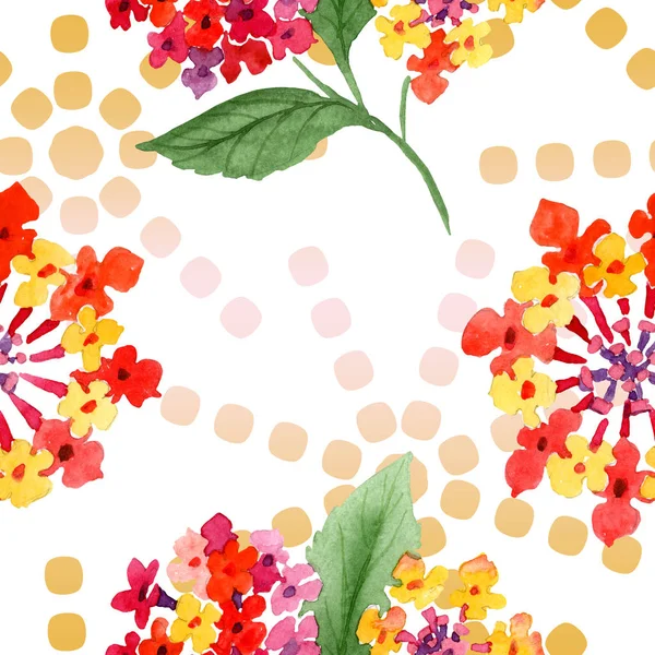 Fleurs botaniques florales de lantana rouge. Ensemble d'illustration de fond aquarelle. Modèle de fond sans couture . — Photo