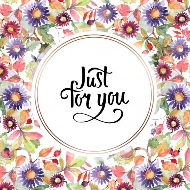 Aster ve kır çiçeği buketi botanik çiçekler. Suluboya arka plan illüstrasyon seti. Çerçeve kenarlık süs karesi.