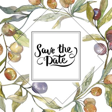 Siyah ve yeşil meyveli zeytin dalı. Suluboya arka plan illüstrasyon seti. Çerçeve kenarlık süs karesi.