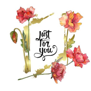 Kırmızı haşhaş çiçek botanik çiçekleri. Suluboya arka plan illüstrasyon seti. Çerçeve kenarlık süs karesi.