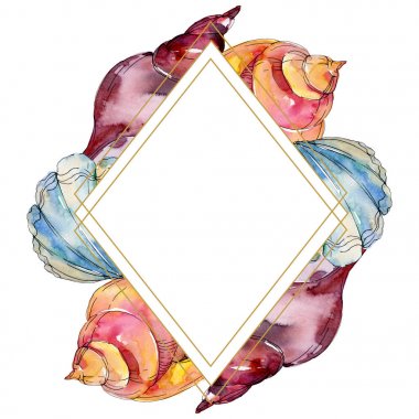 Yaz plaj deniz kabuğu tropikal sualtı elemanları. Suluboya arka plan illüstrasyon seti. Suluboya çizim moda aquarelle izole. Çerçeve kenarlık süs karesi.