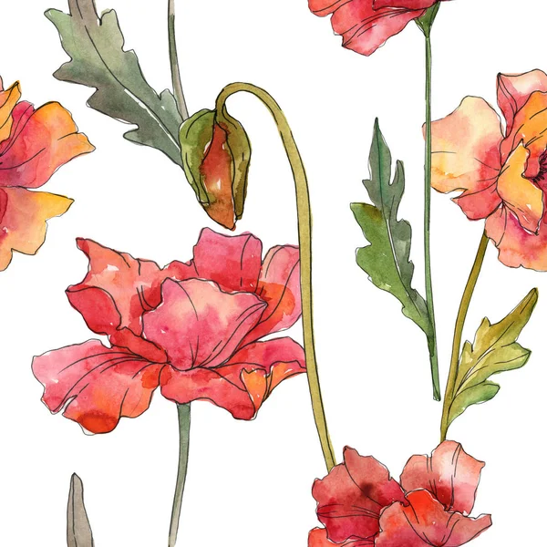 Röd vallmo blommiga botaniska blommor. Akvarell bakgrund illustration uppsättning. Sömlöst bakgrundsmönster. — Stockfoto