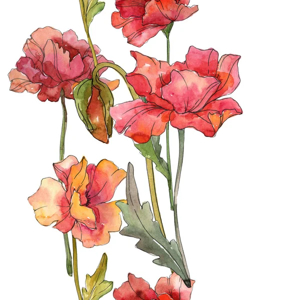 红色罂粟花植物花。水彩背景插图集。框架边框装饰广场. — 图库照片