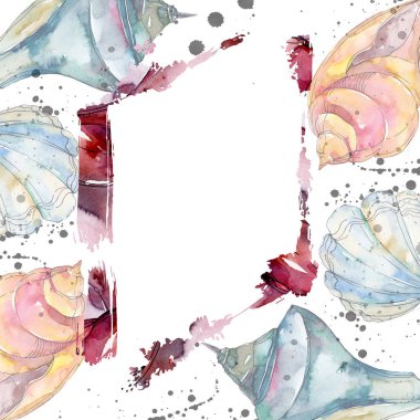 Yaz plaj deniz kabuğu tropikal sualtı elemanları. Suluboya arka plan illüstrasyon seti. Suluboya çizim moda aquarelle izole. Çerçeve kenarlık süs karesi.