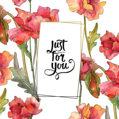 Kırmızı haşhaş çiçek botanik çiçekleri. Suluboya arka plan illüstrasyon seti. Çerçeve kenarlık süs karesi.