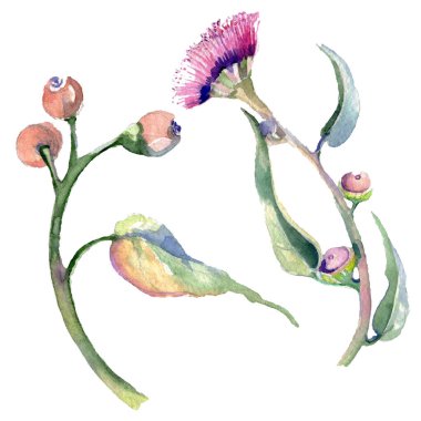 Pembe buket çiçek botanik çiçek gül. Suluboya arka plan illüstrasyon küme. Çerçeve kenarlığı süsleme Meydanı.