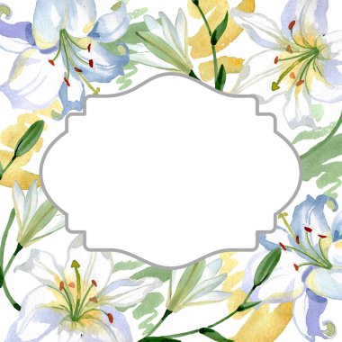 Beyaz zambak çiçek botanik çiçekler. Yabani bahar yaprağı kır çiçeği izole. Suluboya arka plan illüstrasyon seti. Suluboya çizim moda aquarelle. Çerçeve kenarlık süs karesi.