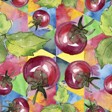 Domates taze sağlıklı gıda. Suluboya arka plan illüstrasyon seti. Kesintisiz arka plan deseni.