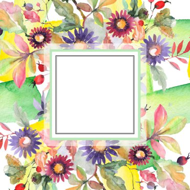 Aster ve kır çiçeği buketi botanik çiçekler. Suluboya arka plan illüstrasyon seti. Çerçeve kenarlık süs karesi.