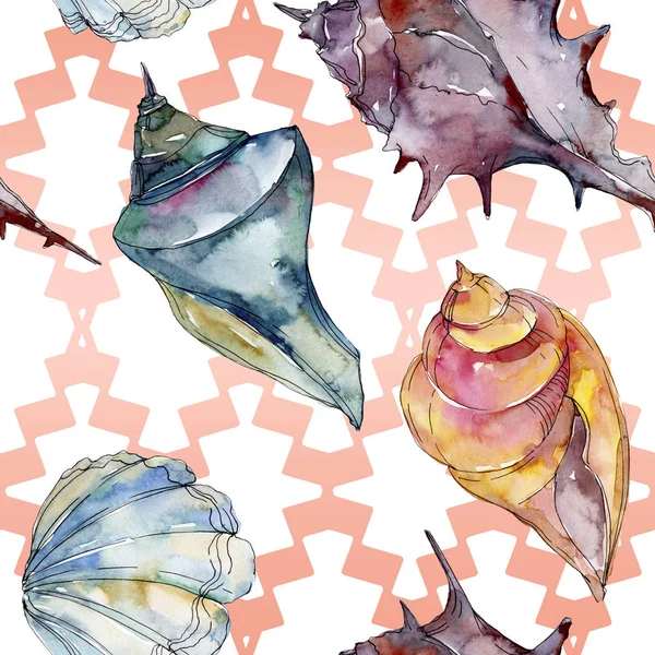 Zomer Strand Seashell Tropische Onderwater Elementen Aquarel Achtergrond Illustratie Instellen — Stockfoto