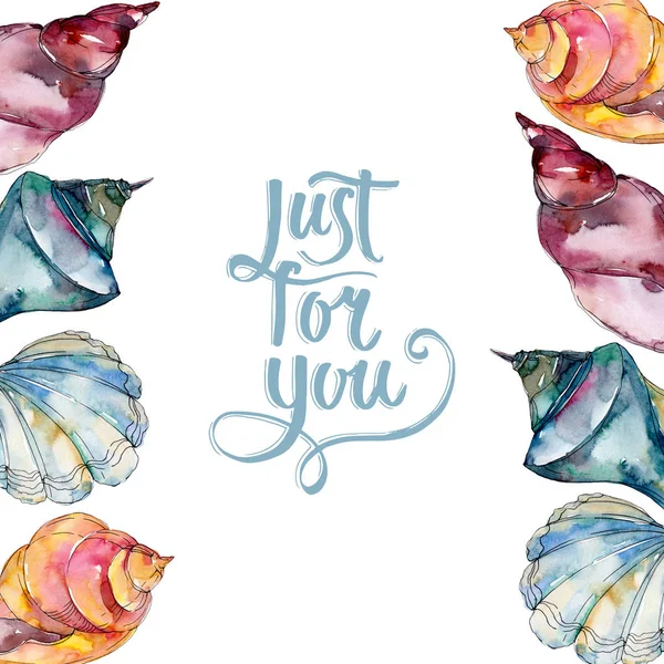 Zomer Strand Seashell Tropische Onderwater Elementen Aquarel Achtergrond Illustratie Instellen — Stockfoto