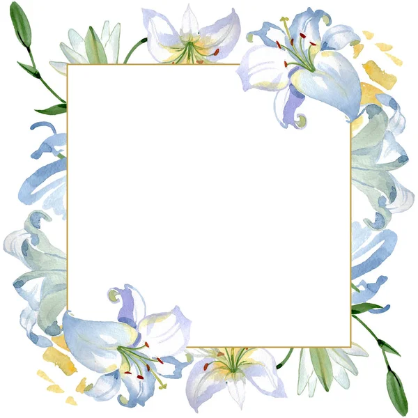 Biała Lilia Kwiatowy Kwiatów Botanicznych Dziki Kwiat Liść Wildflower Białym — Zdjęcie stockowe