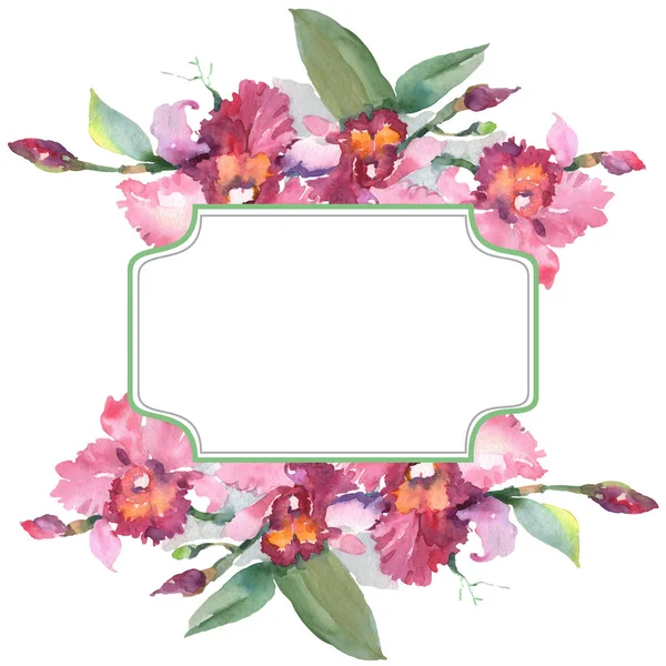 Букет Рожевих Орхідей Квіткових Ботанічних Квітів Дикий Весняний Лист Ізольований — стокове фото