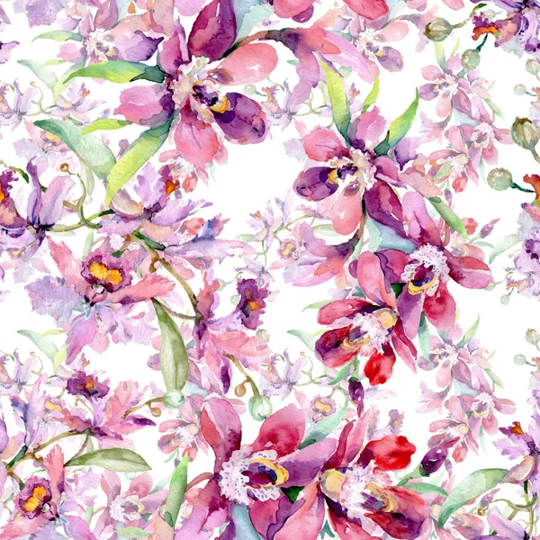 蘭の花束植物の花 野生の春の葉の野生の花 水彩イラストセット 水彩画ファッションアクアレル シームレスな背景パターン ファブリック壁紙プリントテクスチャ — ストック写真