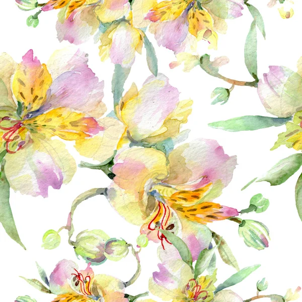 Ramos Orquídeas Flores Botánicas Flor Silvestre Hoja Primavera Juego Ilustración — Foto de Stock