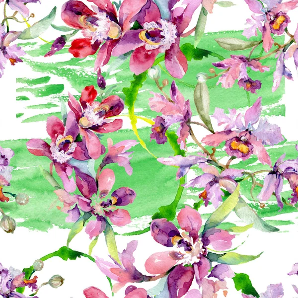 Ορχιδέες Μπουκέτα Βοτανικών Λουλουδιών Άγριο Λουλούδι Φύλλων Ελατηρίου Σετ Εικονογράφησης — Φωτογραφία Αρχείου