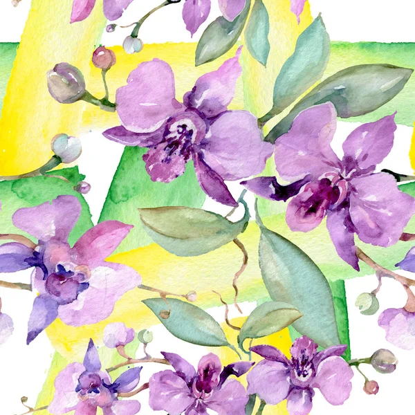 Ramos Orquídeas Flores Botánicas Flor Silvestre Hoja Primavera Juego Ilustración — Foto de Stock